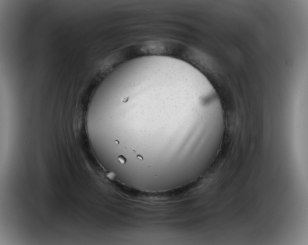 X0000085310645200703302023