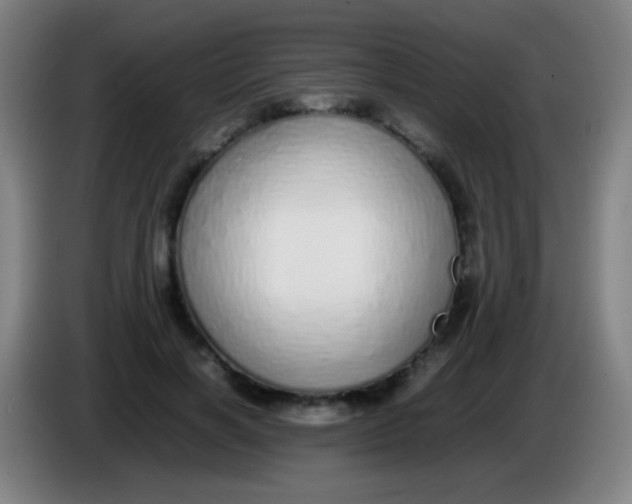 X0000085310646200703302023