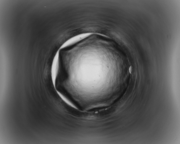 X0000085310647200703302023