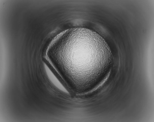 X0000085310648200703302023