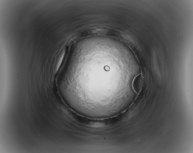 X0000085310649200703302023