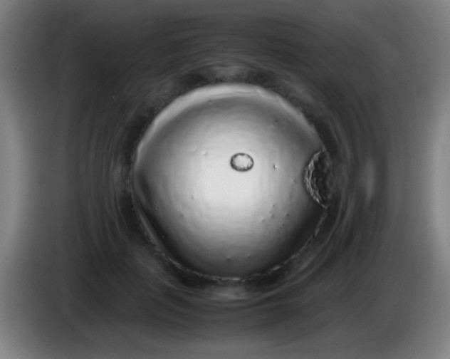 X0000085310651200703302023