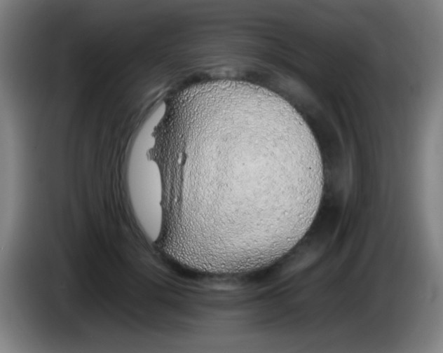 X0000085310652200703302023