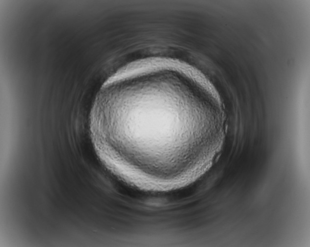 X0000085310653200703302024