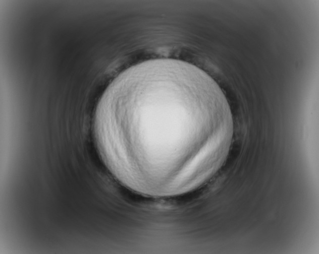 X0000085310656200703302024