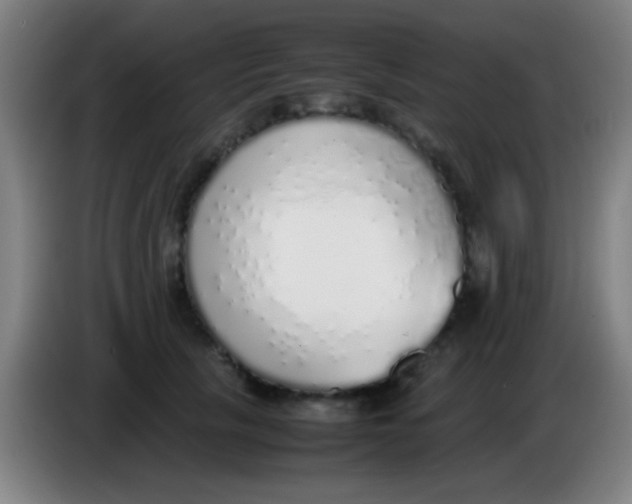 X0000085310657200703302024