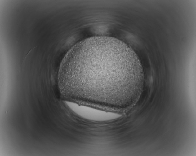 X0000085310658200703302024