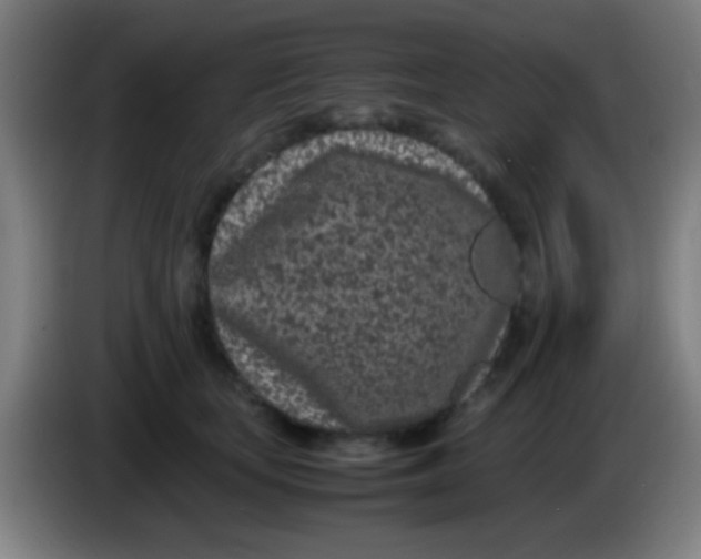 X0000085310659200703302024