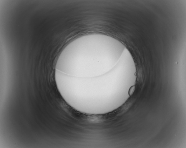 X0000085310660200703302024