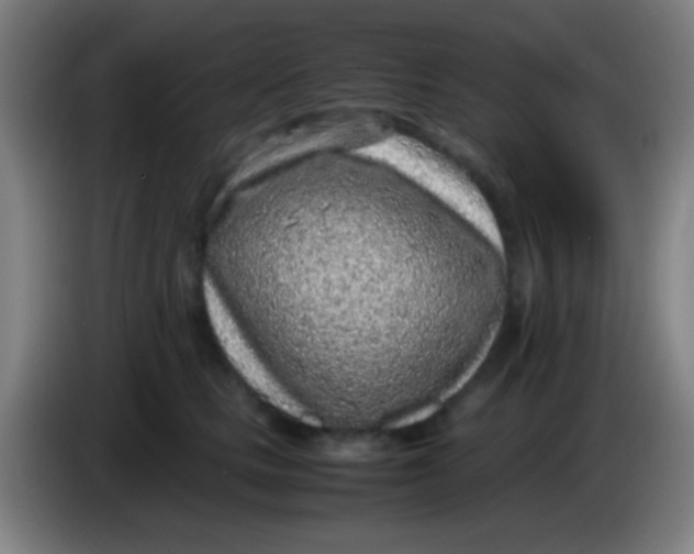 X0000085310661200703302024