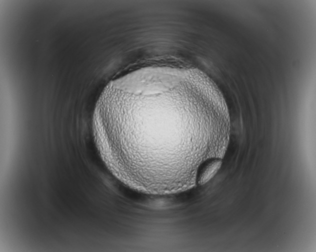 X0000085310662200703302024