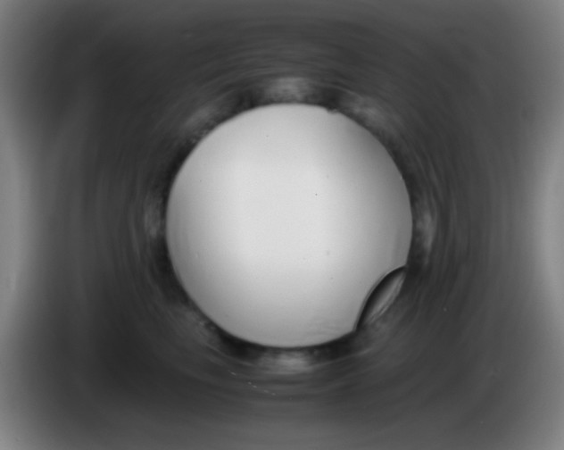 X0000085310665200703302024