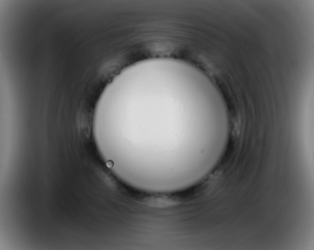 X0000085310666200703302024