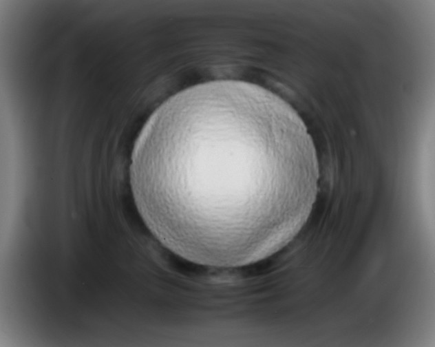 X0000085310667200703302024