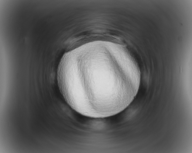 X0000085310668200703302024