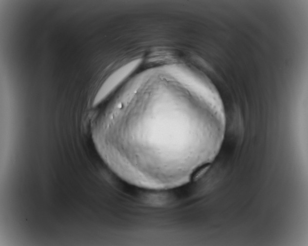 X0000085310669200703302024