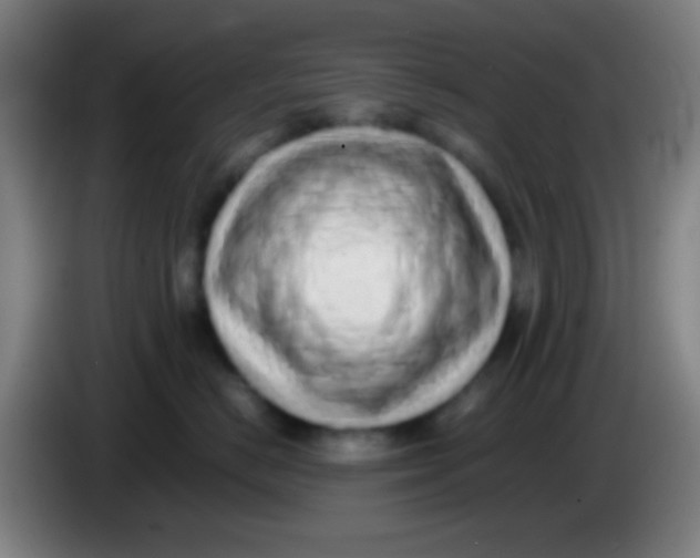 X0000085310670200703302024