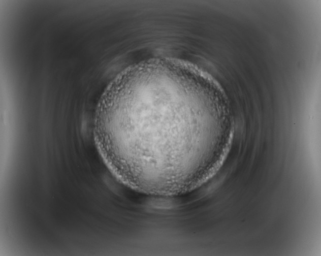 X0000085310671200703302024