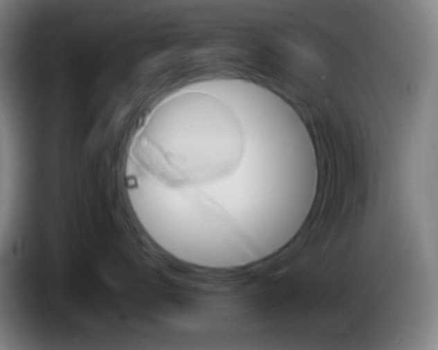 X0000085310672200703302024