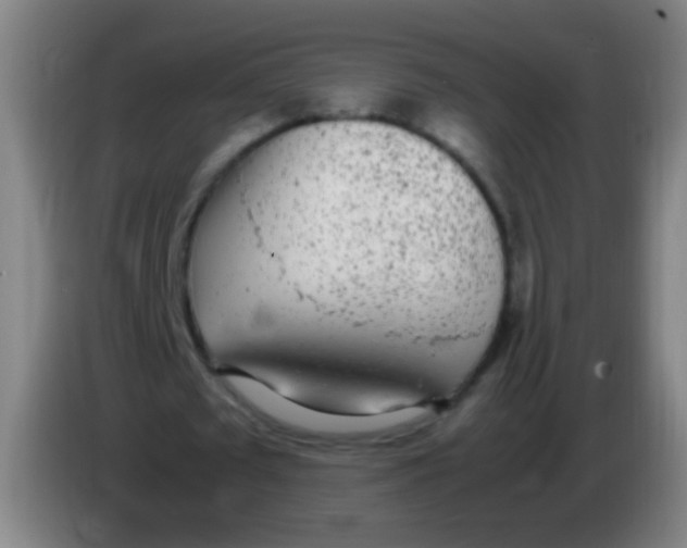 X0000085310673200703302023