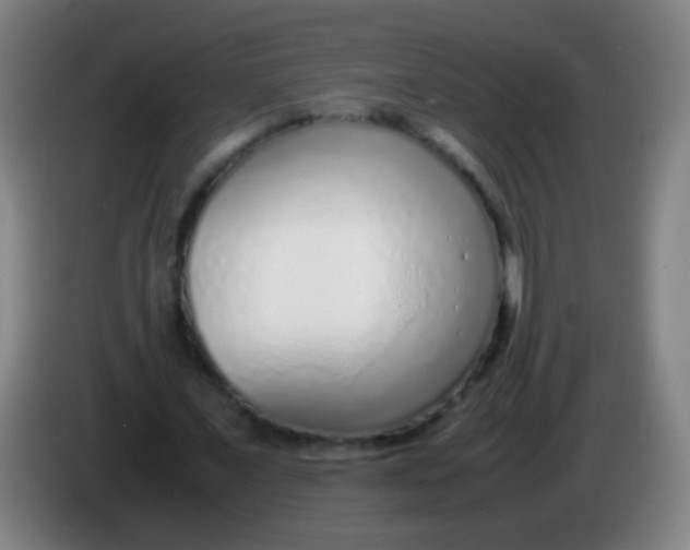 X0000085310675200703302023