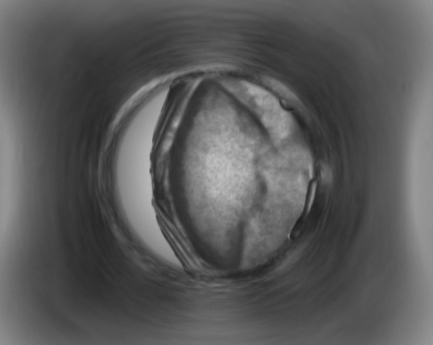 X0000085310676200703302023