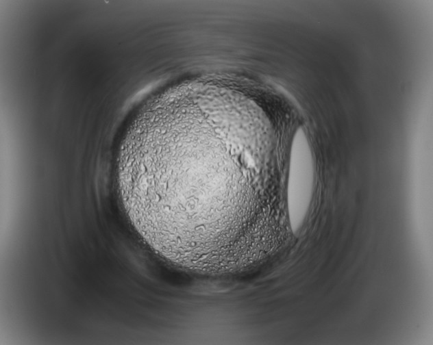 X0000085310679200703302023