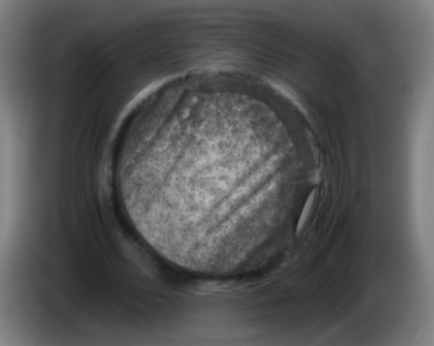 X0000085310680200703302023