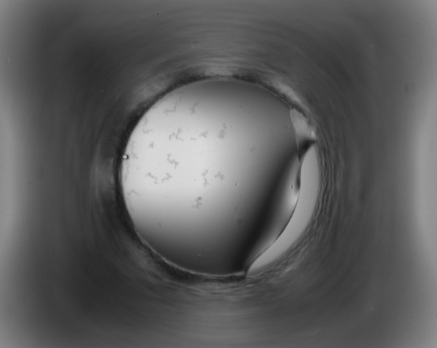 X0000085310681200703302023