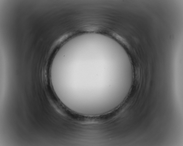 X0000085310682200703302023