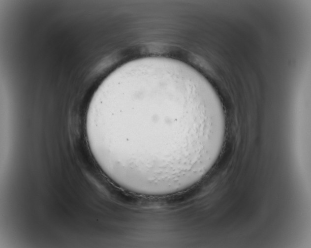 X0000085310683200703302023