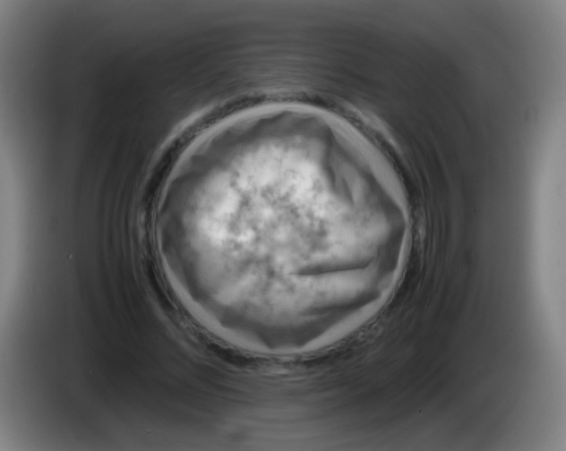 X0000085310684200703302023