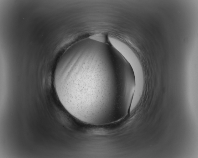 X0000085310685200703302023