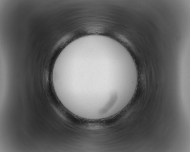 X0000085310686200703302023