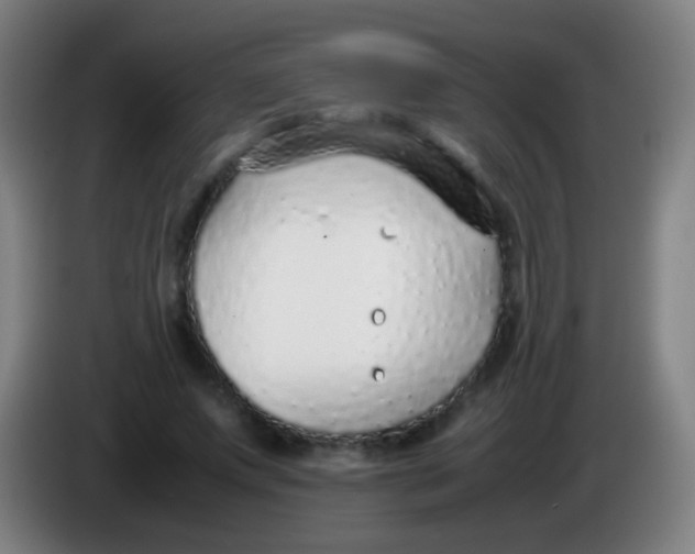 X0000085310687200703302023