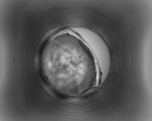 X0000085310688200703302023