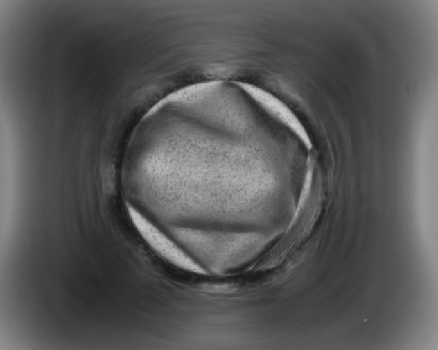 X0000085310689200703302023