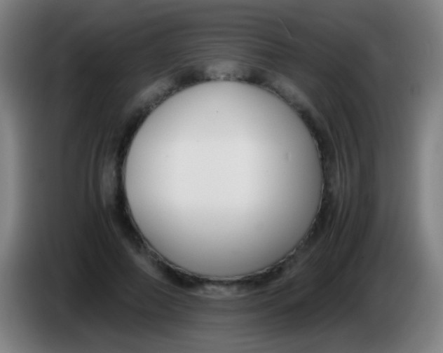 X0000085310690200703302023