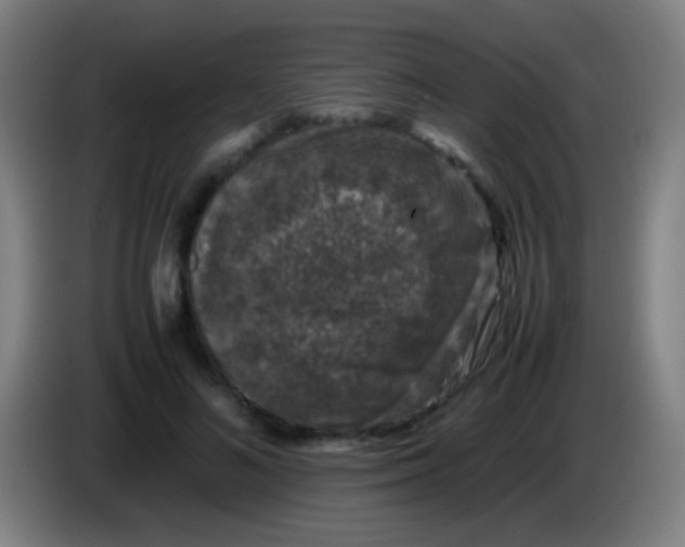 X0000085310692200703302023