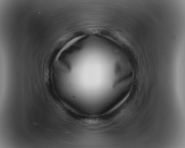 X0000085310693200703302023