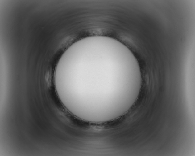 X0000085310694200703302023