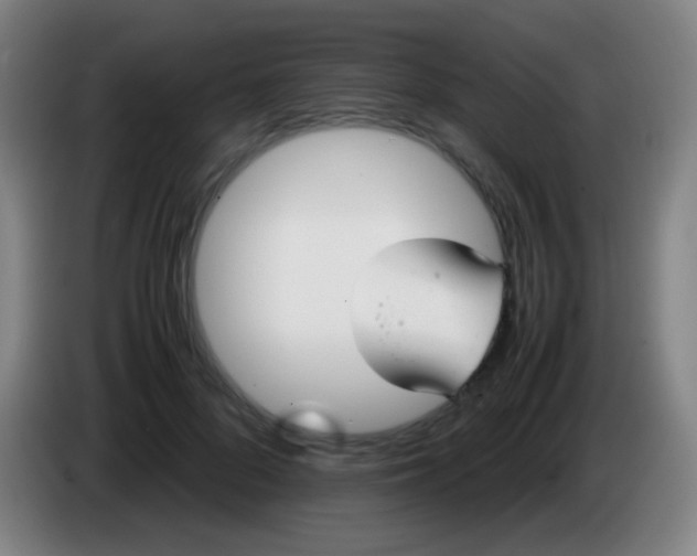 X0000085310696200703302023