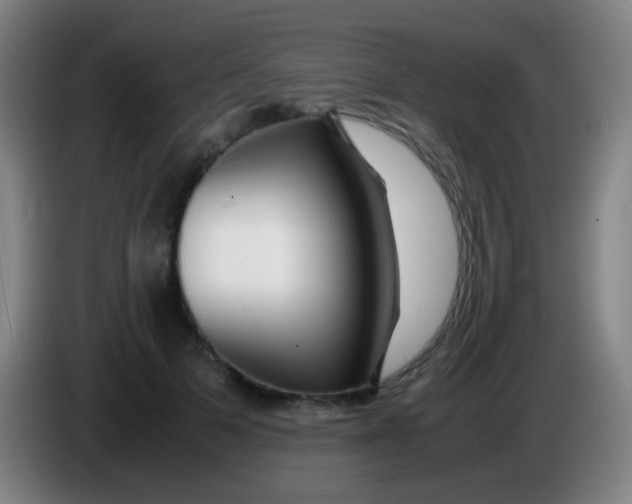 X0000085310697200703302023