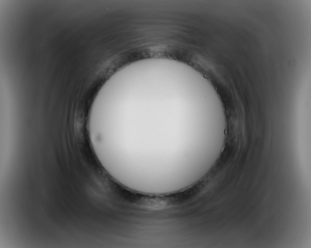 X0000085310698200703302023