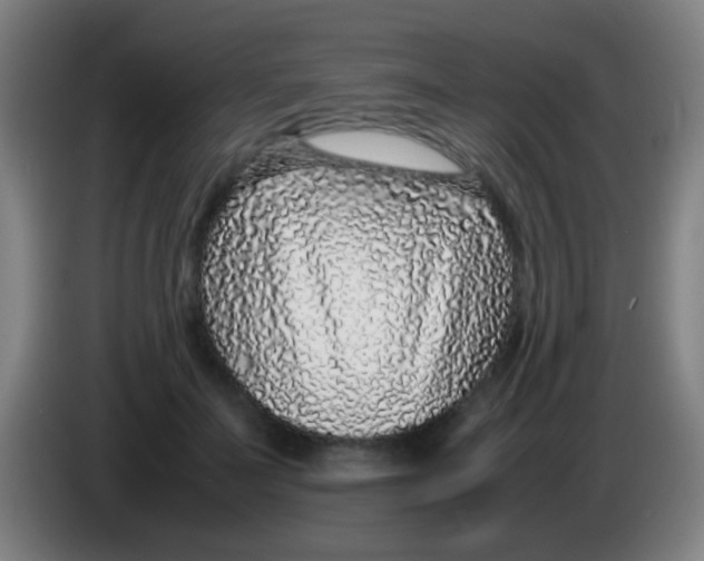 X0000085310699200703302023