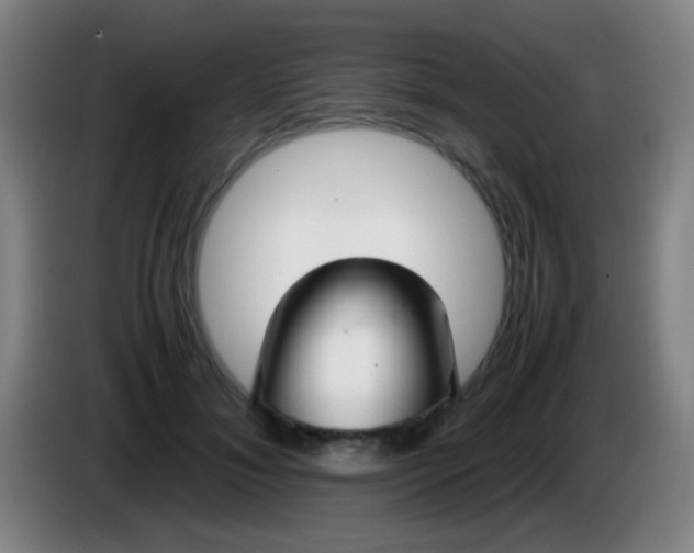 X0000085310700200703302023