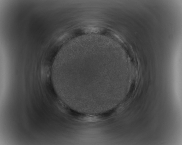 X0000085310701200703302023