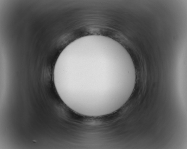 X0000085310702200703302023