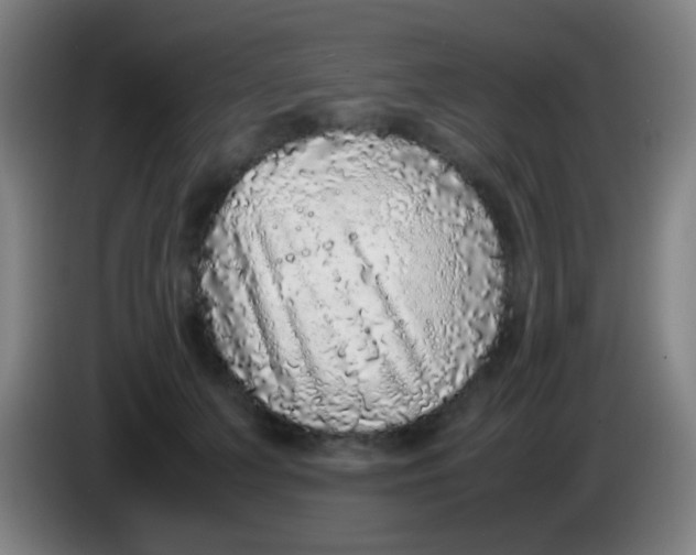 X0000085310703200703302023