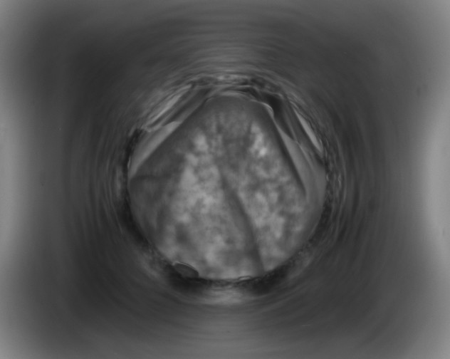 X0000085310704200703302023